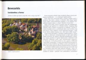 Groteszkek, kimérák, vízköpők. Séta a Vajdahunyadvár épületszobrászati elemei között. Szerk.: Radics...