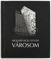 Molnár Iscsu István grafikusművész Városom című kiállítása. Kis alakú kiállítási katalógus. Szerk.: Török Gyöngyvér. Salgótarján, 2002. Salgótarján Megyei Jogú Város Önkormányzata. Kiadói papírkötésben, kijáró lapokkal. Készült 350 számozott példányban (31/350).