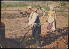 Dorogi Andor (1912-1989) nemzetközi labdarúgó-játékvezető autográf képeslapja Albániából, az albán-l...