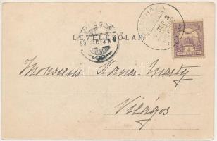 1900 Menyháza, Monyásza, Moneasa; fürdő / spa villa (ázott sarok / wet corner)