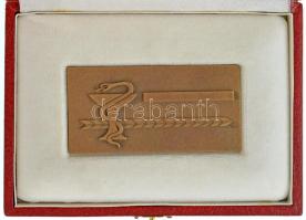 1977. "MÁV Kórház és Központi Rendelőintézet 1927-1977, Budapest" bronz emlékplakett erede...