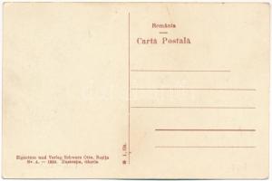 Resicabánya, Resica, Resicza, Resita; Cupt. Inalte / Hochofen / nagyolvasztó, vasgyár. Schwarz Otto ...