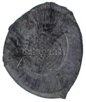 DN "Kossuth-címer" ólom lecsapat (38x45mm) T:XF