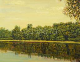 Szabó Lajos (1927-1995): Folyóparton. Olaj, vászon, jelzett. Hátoldalán címkével és autográf felirat...