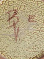 Várdeák Ildikó: Ugrasztott mázas kínáló. Jelzett, 21x20 cm