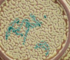 Várdeák Ildikó: Ugrasztott mázas kínáló. Jelzett, d: 20,5 cm