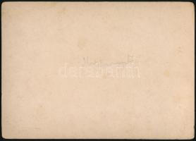 1917 Hargita megyei (Erdély) gazdaság juhokkal, hátoldalon feliratozott keményhátú fotó, szép állapo...