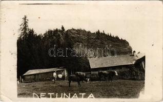 1936 Abrudbánya, Abrud; Detonáta-hegy / Detunata / mountain. photo (EK)