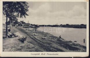 Csongrád Holt Tisza (EB)