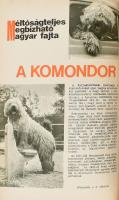 1975 A Kutya című havi folyóirat bekötött évfolyama, jó állapotban, kissé foltos vászonkötéssel