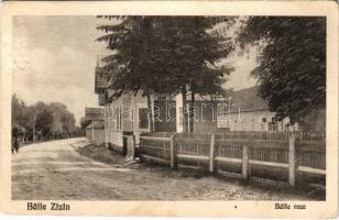 1924 Zajzon, Zaizon-fürdő, Zajzonfürdő, Baile Zizin; Baile rece / Hideg fürdők / spa, cold baths (EB)