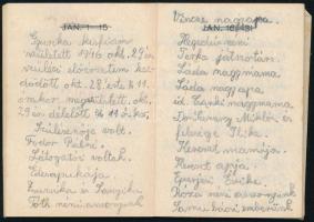 1946 Vegyicikkek Gyára Benes Vince Rt., Bison cipőpaszta / Tangó padlóviasz reklámos zsebnaptár, 8x5...