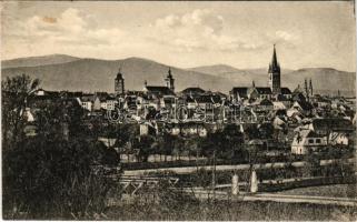 Nagyszeben, Hermannstadt, Sibiu; látkép. Kunstanstalt Jos. Drotleff Nr. 1. / general view (fl)