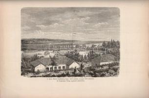 Lovassy Sándor: A keszthelyi Héviz tropikus tündérrózsái. A Balaton tudományos tanulmányozásának ere...