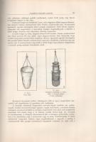 A Balaton faunája. Entz Géza vezetése alatt írták: Brancsik Károly, Daday Jenő, Francé Rezső, Lovass...