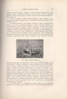 A Balaton faunája. Entz Géza vezetése alatt írták: Brancsik Károly, Daday Jenő, Francé Rezső, Lovass...