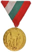 1951. "Anyasági Érdemérem I. fokozata" aranyozott bronz kitüntetés eredeti mellszalagon T:XF Hungary 1951. "Medal of Merit for Mothers, 1st Grade" gilt bronze decoration with original ribbon C:XF NMK 545.