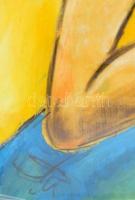 Sörös Pál (1956-): Pávatollas akt. Pasztell, vászon. Jelzett. Dekoratív, üvegezett fakeretben. 100x6...