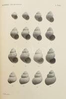 A Balatonmellék paleontologiája IV. köt. A Balaton tudományos tanulmányozásának eredményei I. köt.: ...