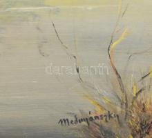 Mednyánszky jelzéssel: Tanya. Olaj, farost. 46×60 cm. Fakeretben