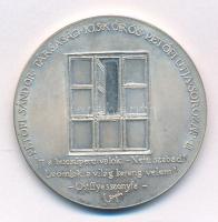 Lapis András (1942-) 1988. "MÉE Kiskőrösi Csoportja / Petőfi útja sorozat III. - Útkeresés&quot...