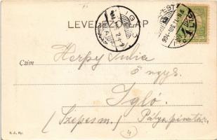 1904 Budapest XII. Zugliget, Fácán vendéglő, étterem kertje vendégekkel és pincérekkel (EK)