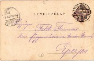 1901 Budapest XII. Svábhegy, villa. Divald Károly kiadása (fl)