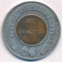 Amerikai Egyesült Államok 1920. 1c bronz "Lincoln" Al foglalatban "Gross' Depart...