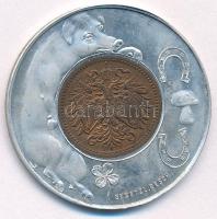 Ausztria 1913. 1h bronz Al foglalatban "Gesetzl. Gesch. / Dein Talisman bin ich fürwahr - Ich b...