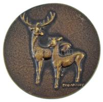 Madarassy Walter (1909-1994) DN "Sárdy Brutus" kétoldalas, öntött bronz (64mm) T:XF kis ph