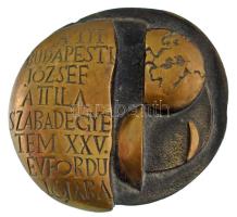 1979. A "TIT Budapesti József Attila Szabadegyetem XXV. évfordulójára / MCMLIV - MCMLXXIV" kétoldalas, öntött bronz plakett (~82x90mm) T:AU,XF