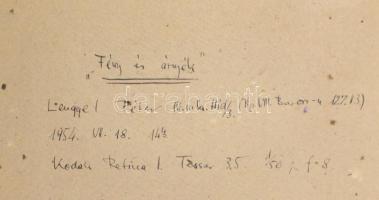 1953 Lengyel Péter: Fény és árnyék, kartonra kasírozott fotó, hátoldalon feliratozva, 18×13 cm