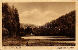 Felsőszinevér, Alsószinevér, Nizni Sinevir, Szinevérpolyána, Synevyrska Polyana; Tengerszem. Steinberg Testvérek kiadása / lake (EK)