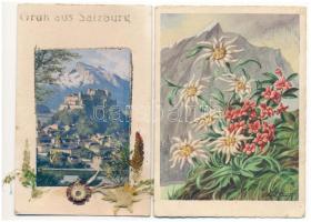 5 db modern lap valódi szárított havasi gyopárral / 5 modern cards with real dried edelweiss flower