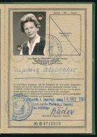 1963 NSZK fényképes útlevél, vízumok nélkül / passport
