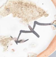 Kerezsi Gyöngyi: retro kerámia váza. Mázas kerámia, hajszálrepedéssel, jelzéssel, kopással, m: 25 cm