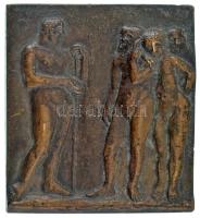 Vedres Márk (1870-1961) ~1910. "Harkányi Ede - 1879-1909" kétoldalas bronz emlékplakett (5...