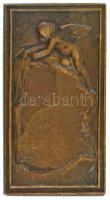 Franciaország ~1900. Allegorikus nőalakot ábrázoló, kétoldalas, peremén jelzett bronz emlékplakett. ...