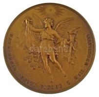 Ausztria 1881. "Rudolf koronaherceg és Stefánia belga királyi hercegnő házasságának emlékére&qu...