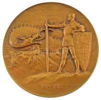 Osztrák-Magyar Monarchia 1915. "Conrad von Hötzendorf / 1914-1915" kétoldalas bronz emléké...