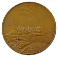 Osztrák-Magyar Monarchia 1915. "Eduard von Böhm-Ermolli tábornok" kétoldalas bronz emlékér...
