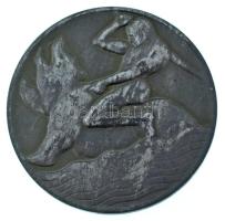 Patzó Pál (1886-1945) DN "Hindenburg" Zn emlékérem (50mm) T:F
Hungary ND "General Fe...