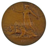 Osztrák-Magyar Monarchia 1914. Ferenc József kétoldalas bronz emlékérem. Szign.: Rudolf Neuberger / ...