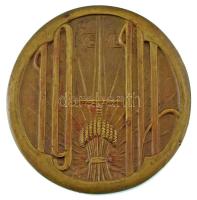 Zutt Richard (1887-1938) 1914. "A kultúráért és a hazáért / A KÉVE" bronz emlékérem (~83-8...