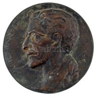 Sződy Szilárd (1878-1939) 1929. "Gárdonyi Géza" egyoldalas bronz lemezplakett (91mm) T:XF patina