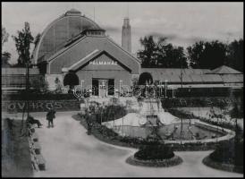 cca 1925 Budapest, a Fővárosi Állat- és Növénykert pálmaháza, 1 db modern nagyítás, jelzés nélkül, 15x21 cm