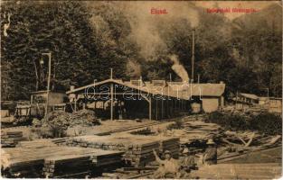 1910 Élesd, Alesd; Erőspataki fűrészgyár, iparvasút / sawmill, industrial railway (EM)