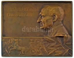 Yrjö Liipola (1881-1971) 1910. "Maywald Józsefnek hálás tanítványai" bronz plakett (48x59mm) T:AU patina