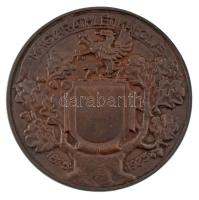 Berán Lajos (1882-1943) 1925. "Magyar Athlétikai Club 1875-1925" bronz emlékérem peremén &...