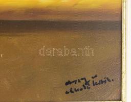 Czinege Zsolt (1964-): Csendélet borral. Olaj, vászon, jelzett. Dekoratív fakeretben. 50x65 cm